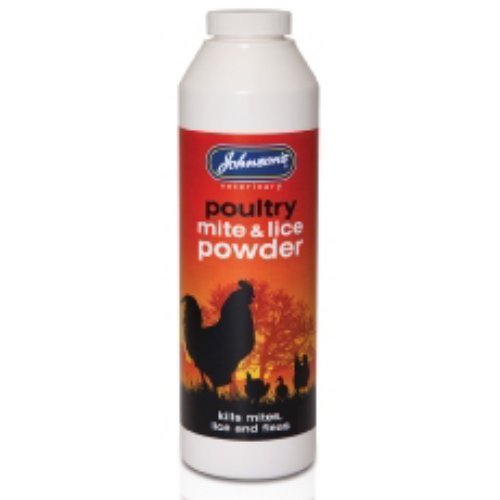 Poultry mite lice - mite, &