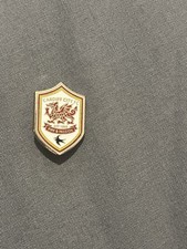 Cardiff City FC Pin Badge