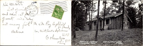 Vintage michigan minsels - vintage,