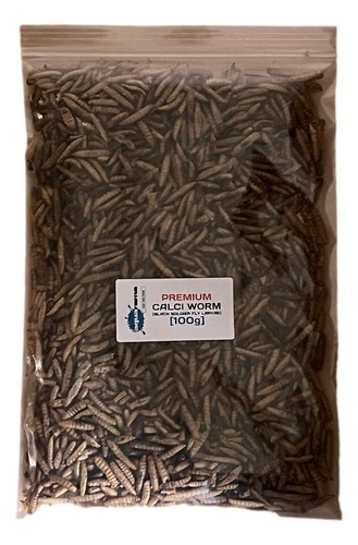 Premium dried calci worms - calci,