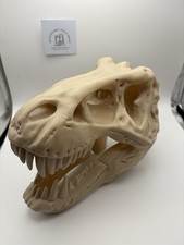 Jurassic Park Themed T-Rex