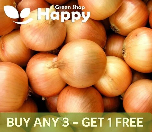 Vegetable onion seeds - onion,