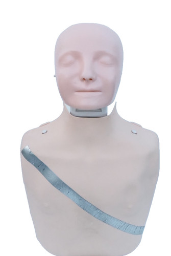 Laerdal little anne cpr - little,
