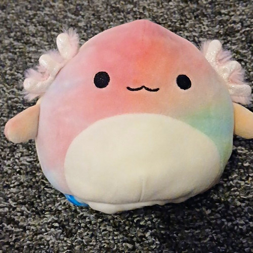 Squishmallows axolotl plush - squishmallows,