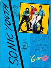 SONIC YOUTH Signed Window