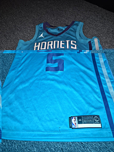 Nike swingman charlotte - nike,