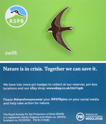 Rspb pin badge - rspb,