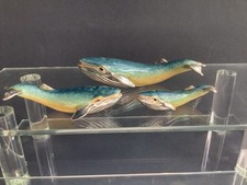 Saturno blue whale family - saturno, 925