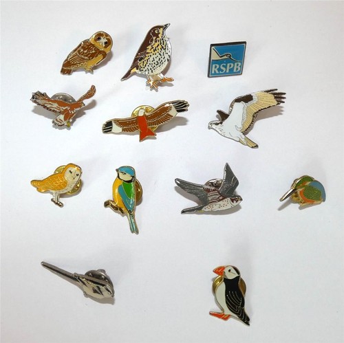 Rspb enamel badges 12 - x,