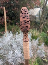 Morel Mushroom Topped Walking