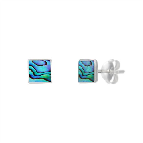 Silverly abalone shell - abalone,