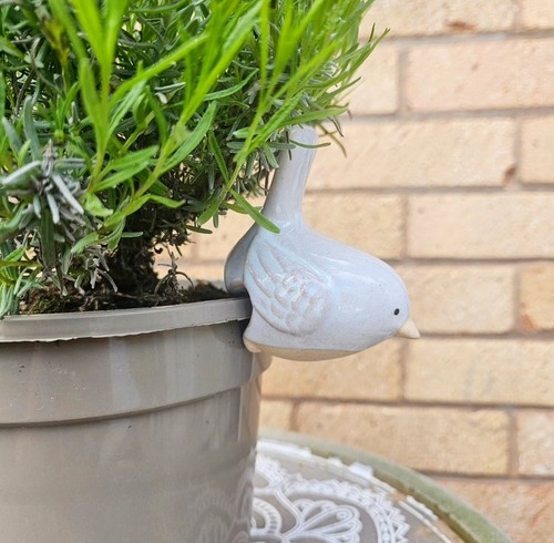 Ceramic stoneware bird pot - ceramic,