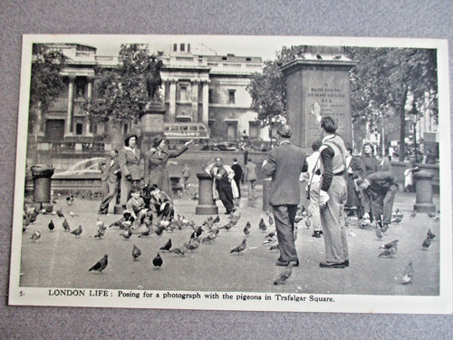 Postcard london life posing - postcard,