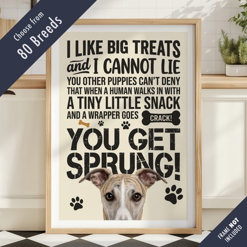 Funny dog treats lyric quote - funny,