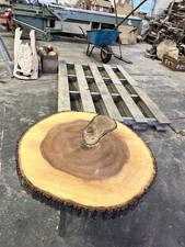 Tree disc, wooden disc, coffee