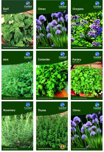Garden treasures fresh herb - treasures,