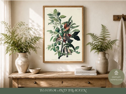 Vintage bird print green - a3,