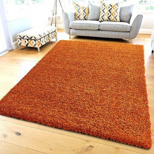 Thick large shaggy rugs non - large,
