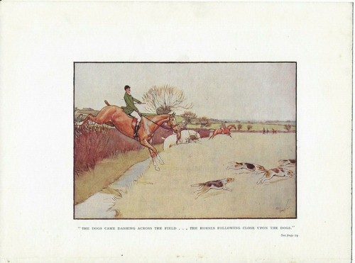 Antique book print - :, horses