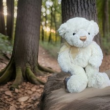 Cute 😍 Gund Cream Teddy