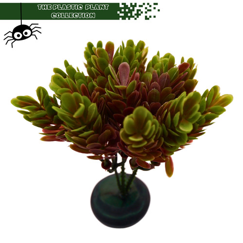 Artificial plants for mantis - for,