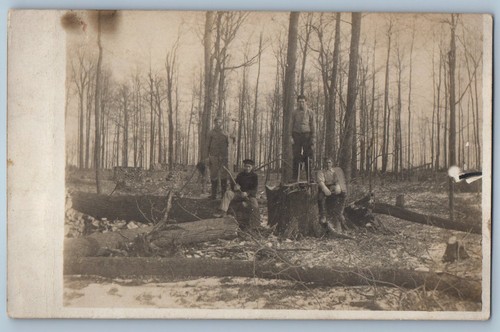 C1910 logging saw tree - c1910's,
