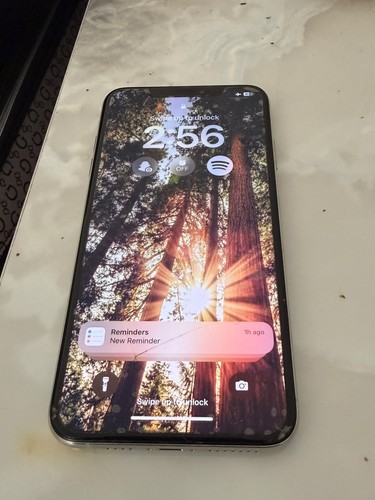Iphone max 256gb - max,