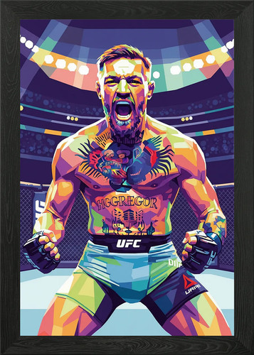Conor mcgregor ufc - conor, colorful