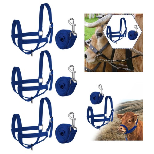 Cow halter with - halter, leading