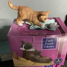 Ginger Tabby Kitten On Matt