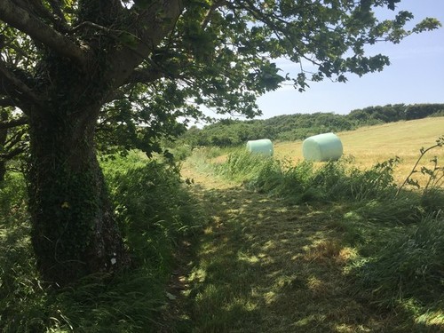 Photo 12x8 bales - 12x8,