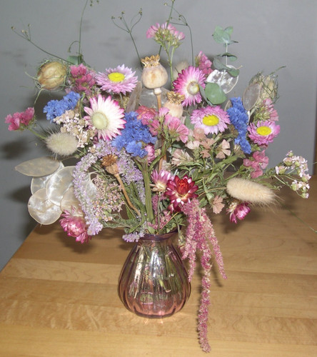 Dried flowers small - flowers, in