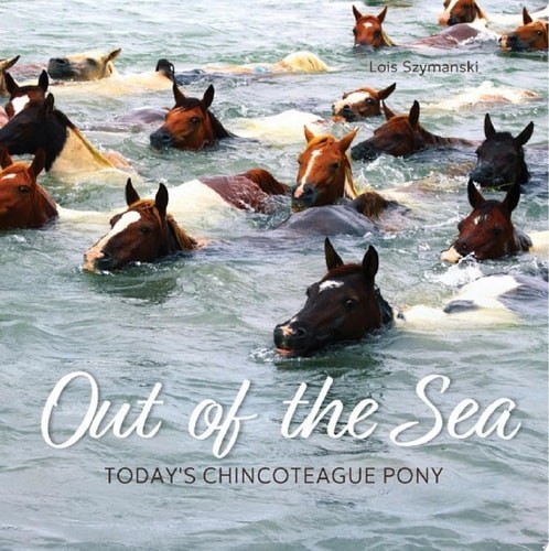 Out the sea - of, sea:
