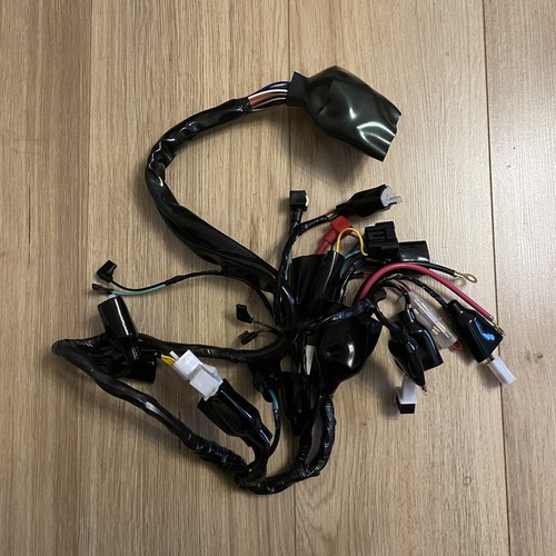 New main wiring - wiring, harness