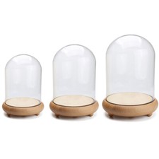 Wooden Base Clear Glass Bell