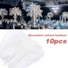 10PCS 25-40cm Large Ostrich