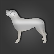 Chesapeake Bay Retriever Style