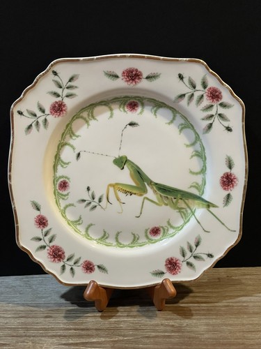 Lou rota nature table - nature,