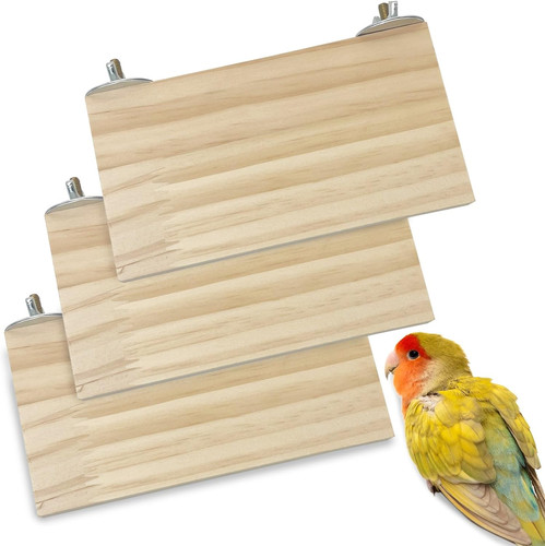 Bird wood platform - platform, parrot