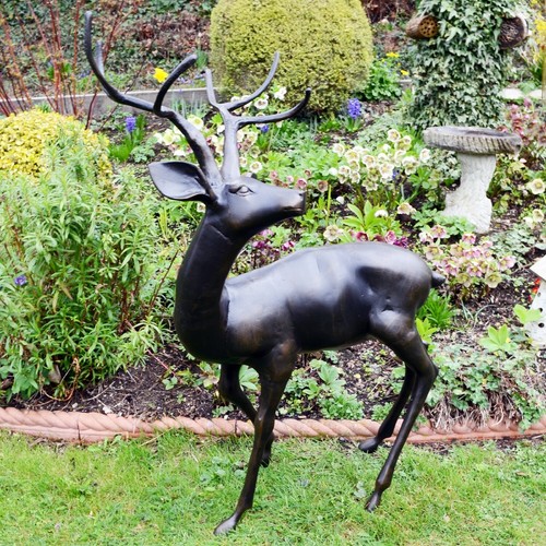 Majestic deer bronze - majestic,