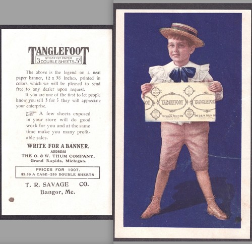 Tanglefoot sticky fly paper - tanglefoot,