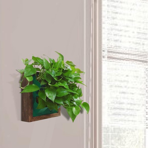 Vertical wall planter - wall,