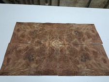 Burr walnut veneer - burr,