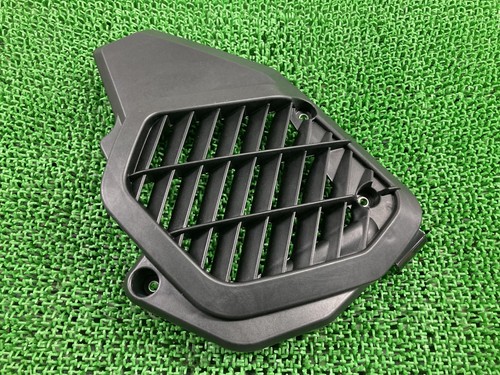 Genuine honda radiator - honda,