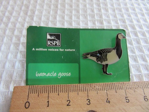 Rspb barnacle goose lapel pin - goose,