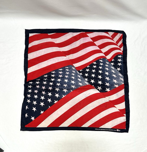 American flag elephant trunk - flag,