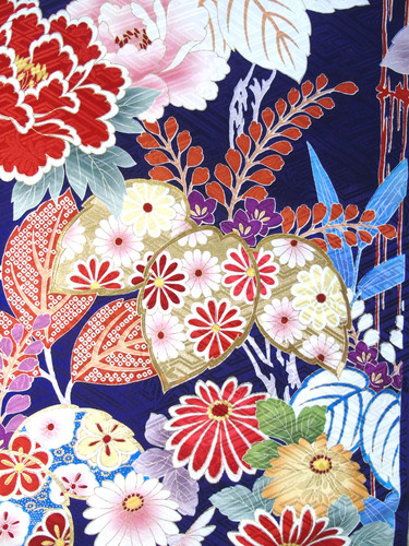 Ayane paulownia four - paulownia, &