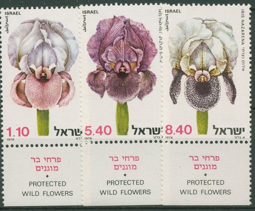 Israel 1978 conservation - 1978,