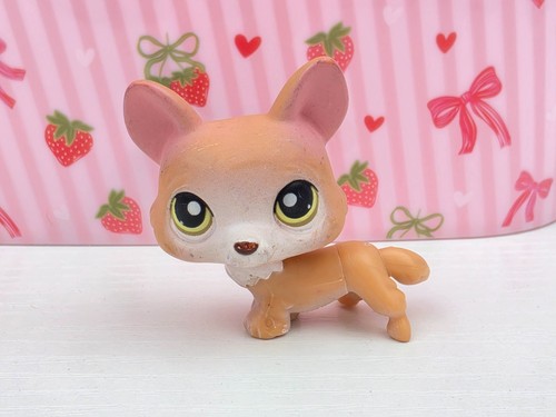 Corgi dog 183 - corgi,