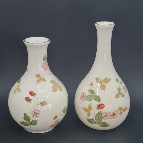 Wedgwood wild strawberry - wild, 2